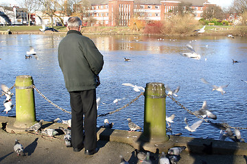 Image showing feeding the birds