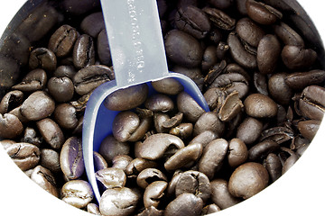Image showing coffee beans in a can