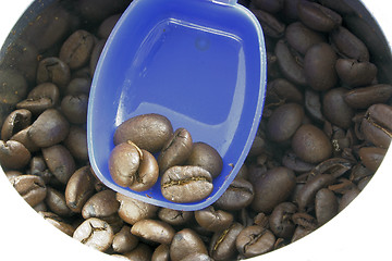 Image showing coffee beans in a can