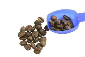 Image showing coffee beans