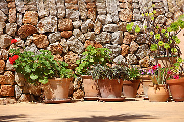 Image showing Potted plants in front of a stone wall