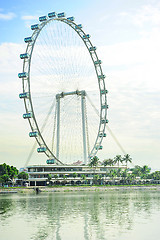 Image showing Singapore Ferris Wheel