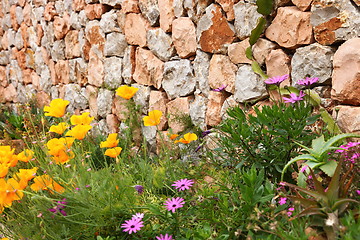 Image showing Dry stone wall and flowers