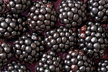 Image showing blackberry background