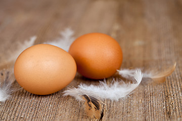 Image showing two eggs and feathers