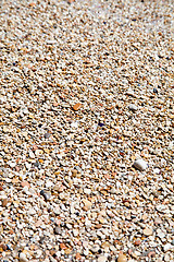 Image showing pebbles on a beach 