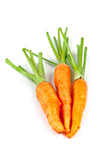 Image showing carrot vegetable with leaves