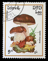 Image showing Stamp printed in Laos shows mushroom