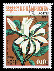 Image showing Stamp printed in the Cambodia, depicts a flower Magnolia