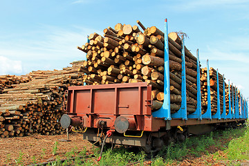 Image showing Transporting Wood by Train