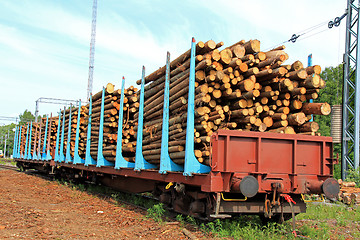 Image showing Wood in Railcars