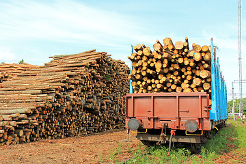 Image showing Wood at Railway Station and Railcars