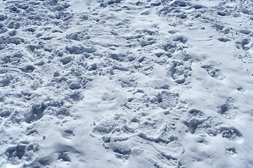 Image showing Many footprints in the snow