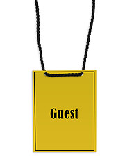 Image showing Guest backstage pass
