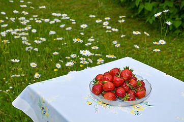 Image showing Strawberries in a bowl