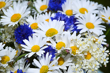 Image showing Summerflowers