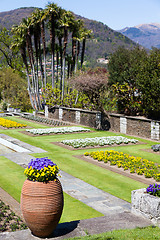 Image showing Villa Taranto garden