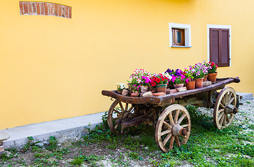 Image showing Tuscany flowers