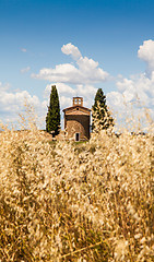 Image showing Tuscan country