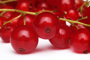 Image showing Fresh ripe currant