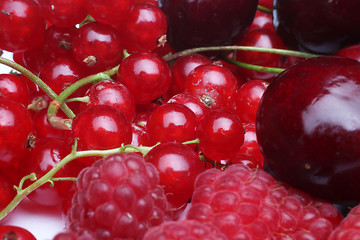 Image showing Fresh berries