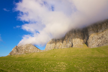 Image showing Coastal cliffs