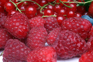 Image showing Fresh berries