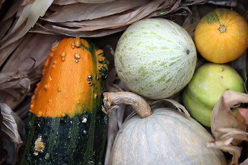 Image showing Autumn Harvest