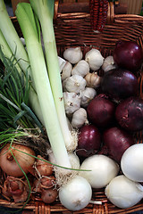 Image showing Onions and garlic 