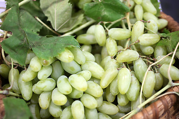 Image showing Bunch of grapes