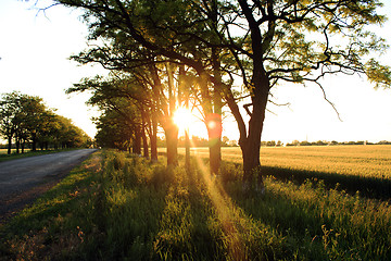 Image showing Rural road on sunset