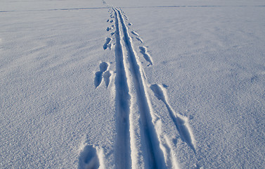 Image showing Ski marks left on frozen lake snow in winter 