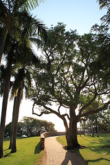 Image showing Esplanade walk