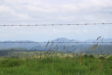 Image showing Wired in the Tablelands