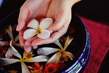 Image showing female hand and flower in water