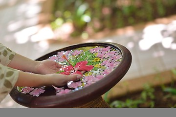 Image showing female hand and flower in water