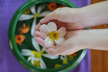 Image showing female hand and flower in water