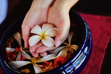 Image showing female hand and flower in water