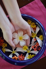 Image showing female hand and flower in water