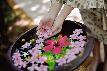 Image showing female hand and flower in water