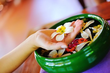 Image showing female hand and flower in water