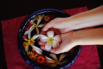 Image showing female hand and flower in water