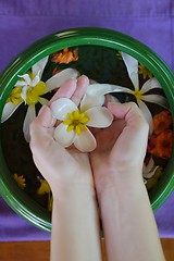 Image showing female hand and flower in water