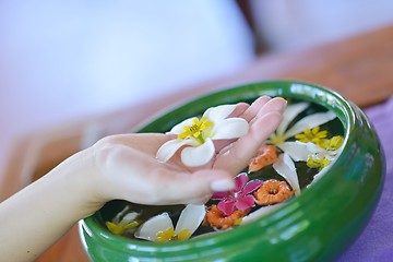 Image showing female hand and flower in water