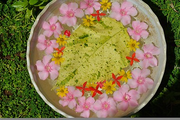 Image showing water cup with beautiful flowers background