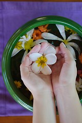 Image showing female hand and flower in water