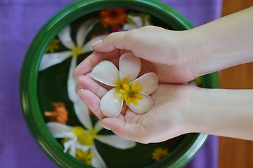 Image showing female hand and flower in water