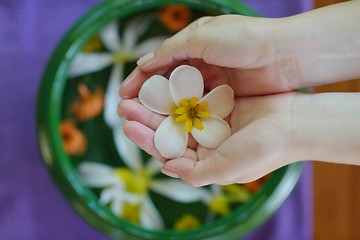 Image showing female hand and flower in water