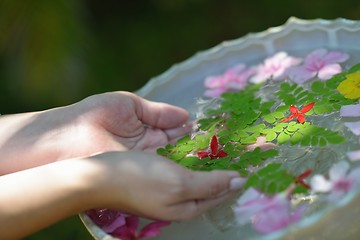 Image showing female hand and flower in water