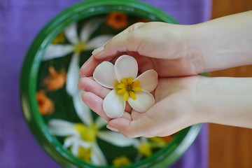 Image showing female hand and flower in water